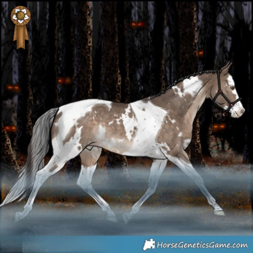 Horse Color:White Spotted Brown Dun Splash Tobiano Appaloosa Rabicano 
