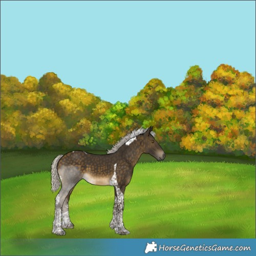 Horse Color:Silver Buckskin Tobiano 