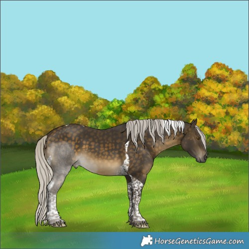 Horse Color:Silver Buckskin Tobiano 