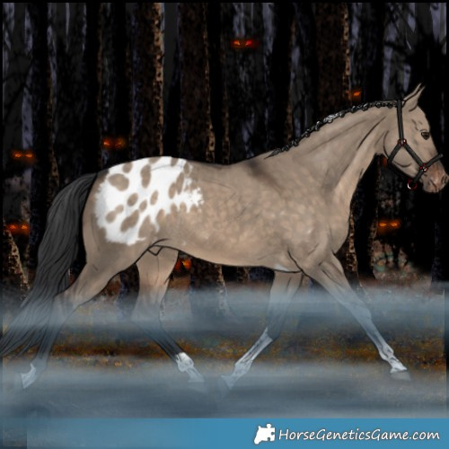 Horse Color:Brown Dun Tobiano Appaloosa Rabicano 