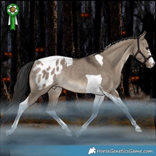 Horse Color:Brown Dun Tobiano Appaloosa Rabicano 