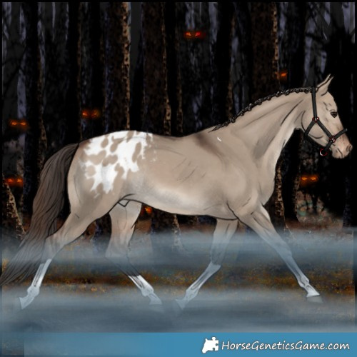 Horse Color:Brown Dun Tobiano Appaloosa Rabicano 