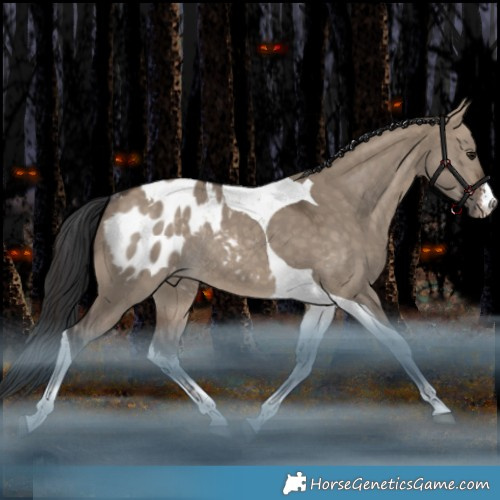 Horse Color:White Spotted Bay Dun Tobiano Appaloosa Rabicano 