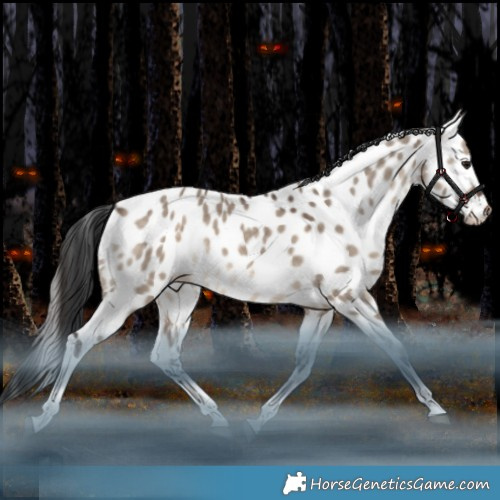 Horse Color:White Spotted Bay Dun Tobiano Appaloosa Rabicano 