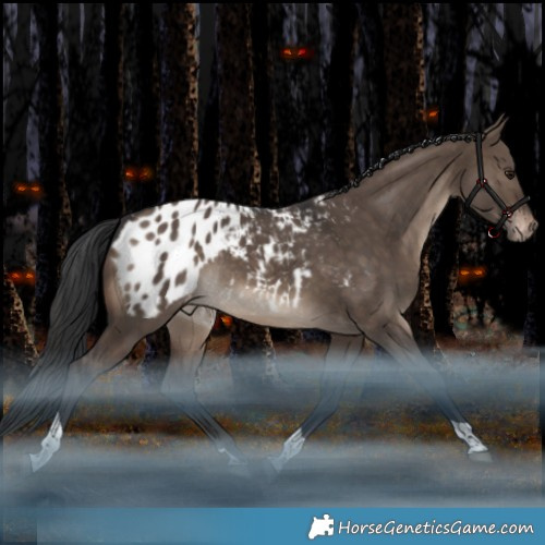 Horse Color:White Spotted Brown Dun Tobiano Appaloosa Rabicano 
