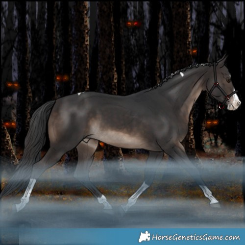 Horse Color:Brown Splash Tobiano Rabicano 