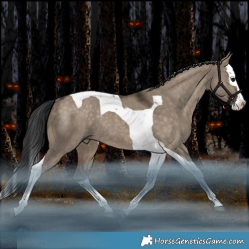 Horse Color:Brown Dun Splash Tobiano Rabicano