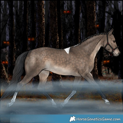 Horse Color:White Spotted Brown Dun Tobiano Rabicano 