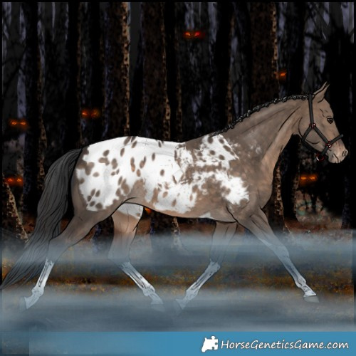 Horse Color:White Spotted Bay Dun Tobiano Appaloosa Rabicano 
