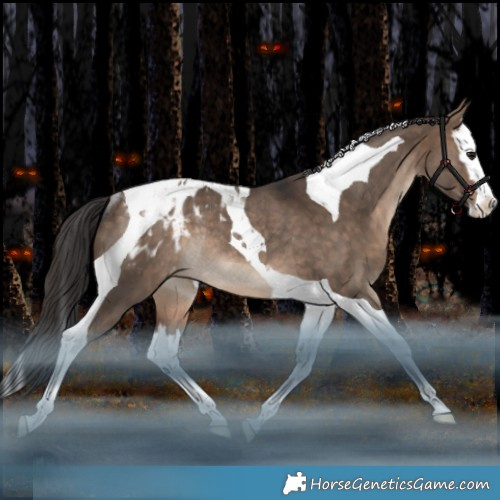 Horse Color:Bay Dun Splash Tobiano Appaloosa Rabicano 