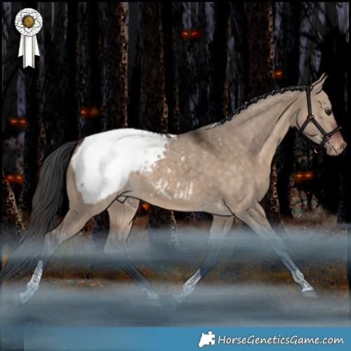 Horse Color:Brown Dun Tobiano Appaloosa Rabicano 