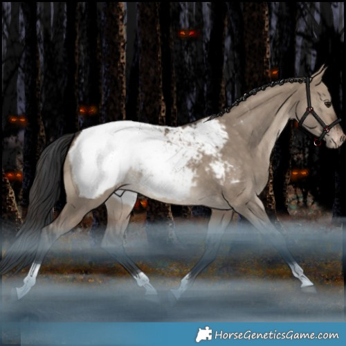 Horse Color:Brown Dun Tobiano Appaloosa Rabicano 