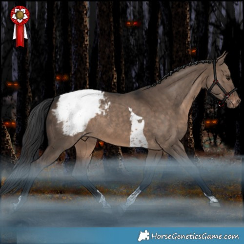 Horse Color:Brown Dun Tobiano Appaloosa Rabicano 