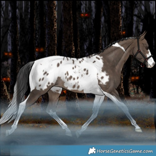 Horse Color:White Spotted Brown Dun Tobiano Appaloosa Rabicano 