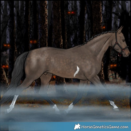 Horse Color:Brown Dun Tobiano Rabicano