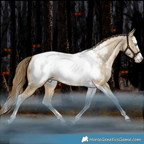 Horse Color:White Spotted Brown Snowdrop Pearl Dun Splash Tobiano Appaloosa Rabicano