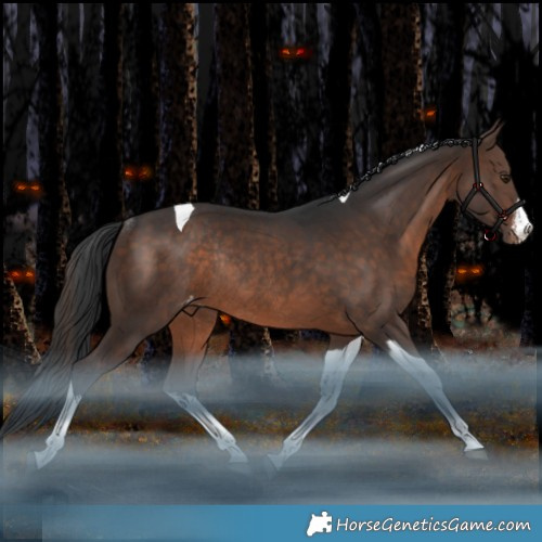 Horse Color:White Spotted Brown Tobiano Appaloosa Rabicano 