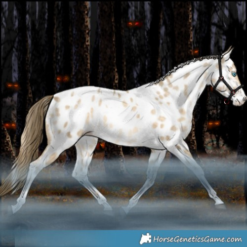 Horse Color:White Spotted Brown Snowdrop Pearl Splash Tobiano Appaloosa Rabicano 