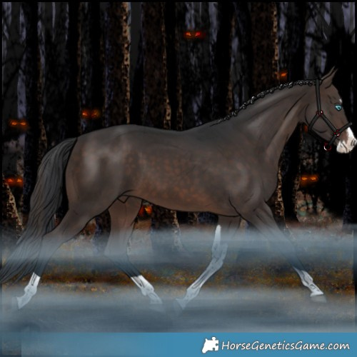 Horse Color:White Spotted Brown Splash Tobiano Rabicano 