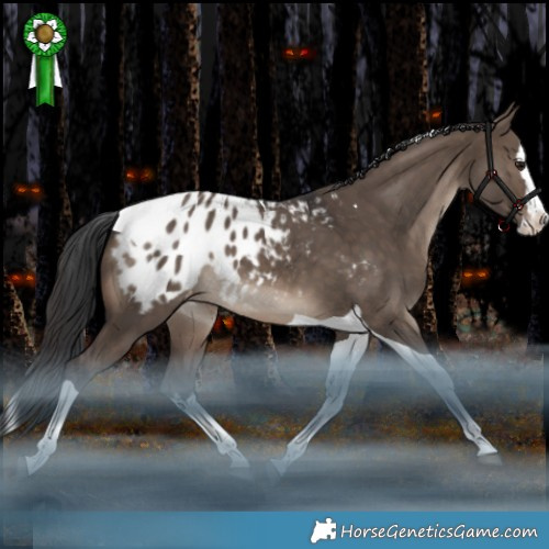 Horse Color:White Spotted Brown Dun Splash Tobiano Appaloosa Rabicano 