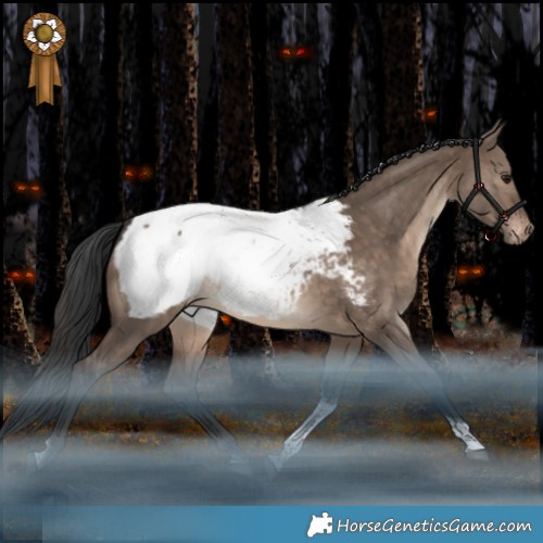 Horse Color:White Spotted Brown Dun Tobiano Appaloosa Rabicano 