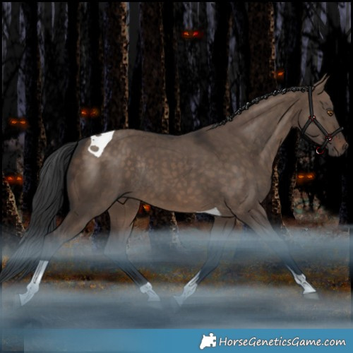 Horse Color:Brown Dun Tobiano Rabicano