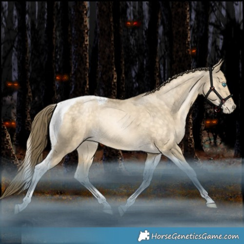 Horse Color:Brown Snowdrop Dun Tobiano Rabicano 