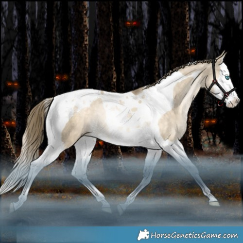 Horse Color:Bay Snowdrop Dun Splash Tobiano Rabicano 