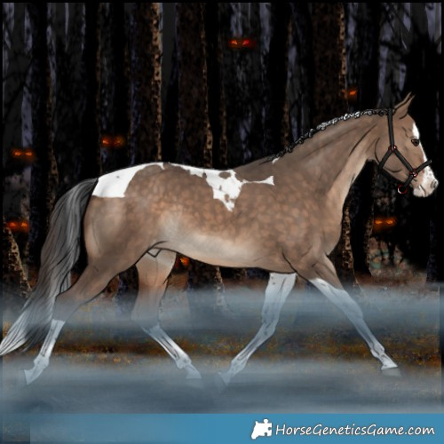 Horse Color:Bay Dun Splash Tobiano Appaloosa Rabicano 