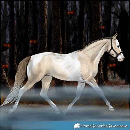 Horse Color:Bay Snowdrop Dun Splash Tobiano Rabicano 