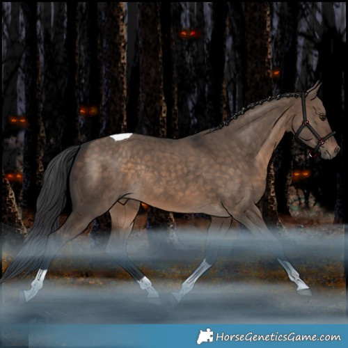 Horse Color:Brown Dun Tobiano Rabicano 