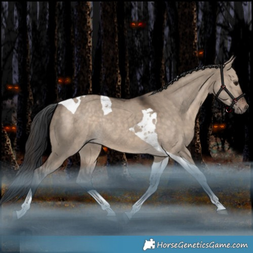 Horse Color:Brown Dun Tobiano Rabicano 