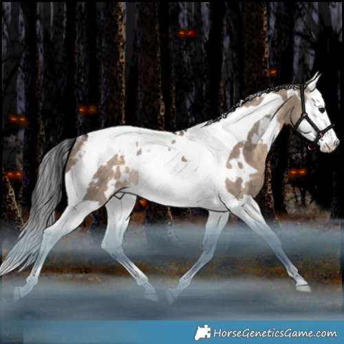 Horse Color:White Spotted Bay Dun Splash Tobiano Appaloosa Rabicano 
