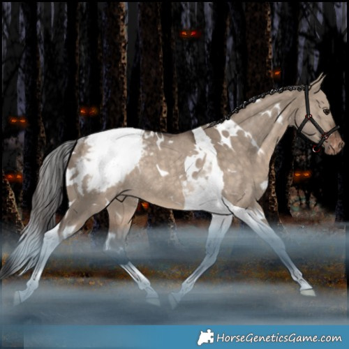 Horse Color:White Spotted Brown Dun Tobiano Appaloosa Rabicano