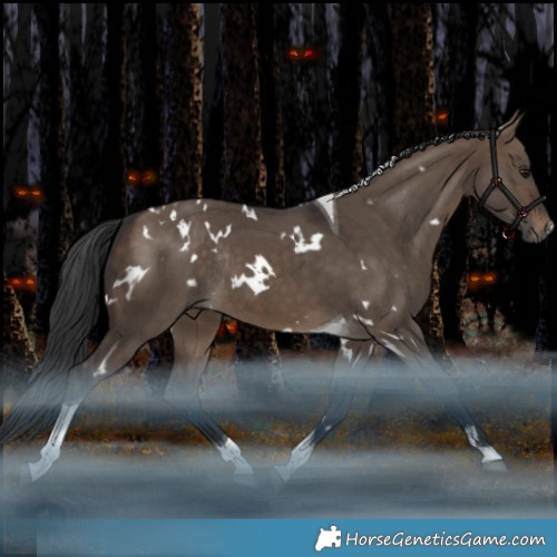 Horse Color:White Spotted Brown Dun Tobiano Rabicano 