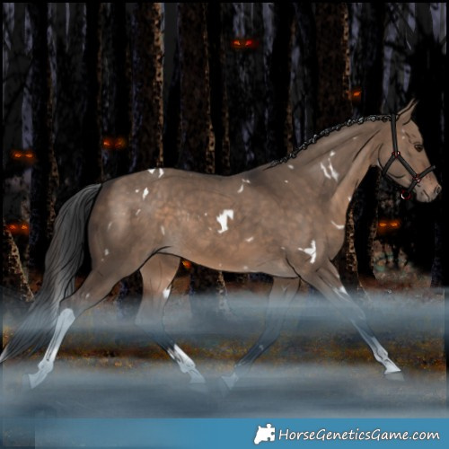Horse Color:White Spotted Brown Dun Tobiano Rabicano 