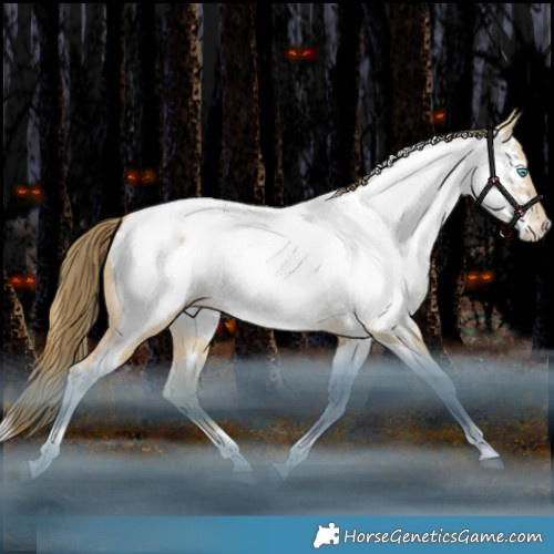 Horse Color:White Spotted Bay Snowdrop Pearl Dun Tobiano Appaloosa Rabicano