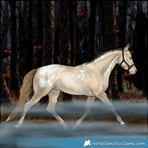 Horse Color:White Spotted Bay Snowdrop Dun Tobiano Appaloosa Rabicano 