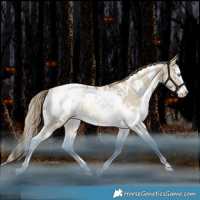 Horse Color:White Spotted Bay Snowdrop Dun Splash Tobiano Snowcap Rabicano