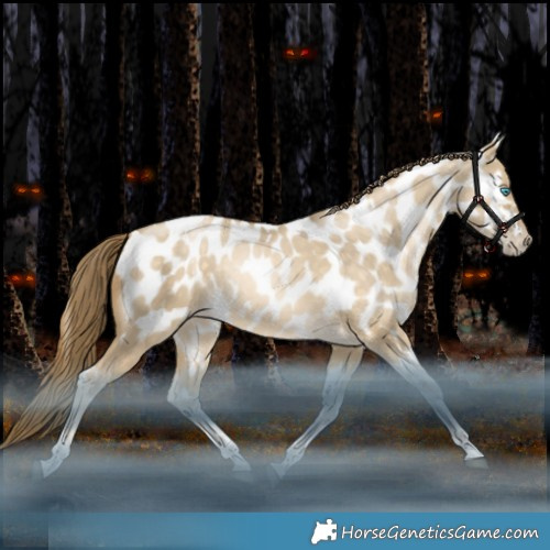 Horse Color:White Spotted Bay Snowdrop Dun Tobiano Appaloosa Rabicano 