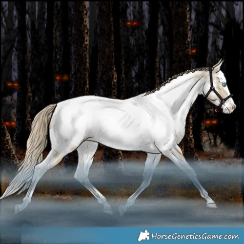 Horse Color:White Spotted Brown Snowdrop Pearl Dun Splash Tobiano Appaloosa Rabicano 