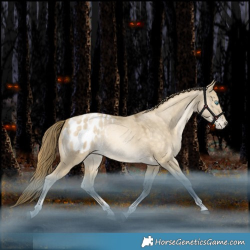 Horse Color:Brown Snowdrop Dun Tobiano Appaloosa Rabicano 