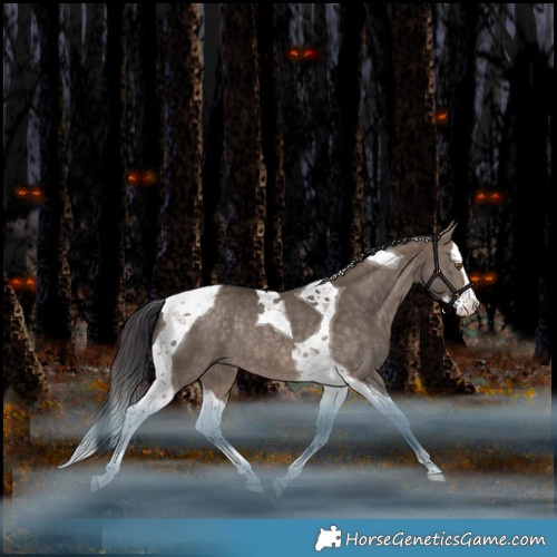 Horse Color:Bay Dun Splash Tobiano Rabicano 