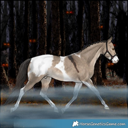 Horse Color:Bay Dun Sabino Tobiano Appaloosa Rabicano