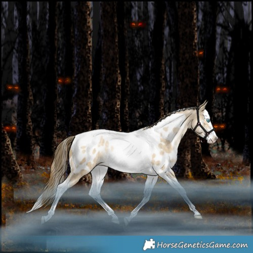 Horse Color:Brown Snowdrop Pearl Dun Sabino Splash Tobiano Appaloosa Rabicano 