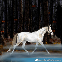Horse Color:Brown Snowdrop Pearl Dun Sabino Splash Tobiano Near Leopard Rabicano