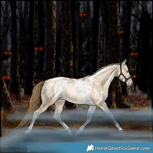 Horse Color:White Spotted Bay Snowdrop Dun Tobiano Appaloosa Rabicano 