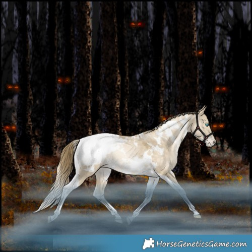 Horse Color:White Spotted Bay Snowdrop Dun Tobiano Appaloosa Rabicano 