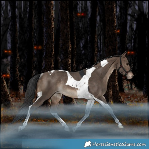 Horse Color:Brown Dun Tobiano Appaloosa Rabicano 