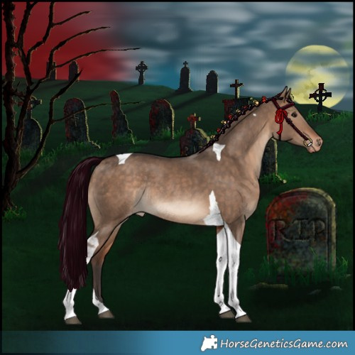 Horse Color:Bay Dun Tobiano Appaloosa Rabicano